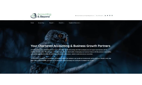 Accounting and Beyond website front page.