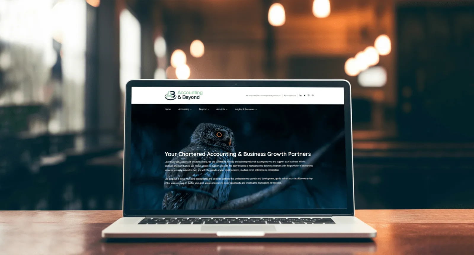 Accounting Website Design